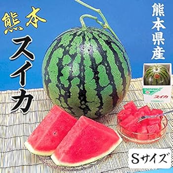 熊本産 西瓜 4Lサイズ 秀等級 2個セット 西瓜 4Lサイズ 2個セット 秀等級 熊本産